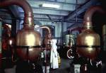 distillation et alambics (800 x 548, 56 ko)